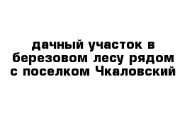 дачный участок в березовом лесу рядом с поселком Чкаловский